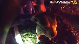We request $5,000 for general operating support. Watch Atlanta Police Rescue Dog Stuck On Tree Near Vehicle Fire 11alive Com