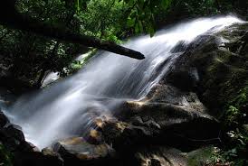 We did not find results for: Resort Taman Eko Rimba Komanwel Rawang 2021 All You Need To Know Before You Go Tours Tickets With Photos Tripadvisor