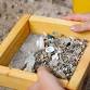 Science Surprises: Fossils