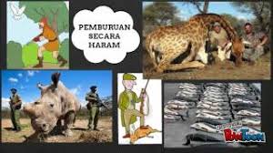 Langkah langkah pemeliharaannya adalah dengan menjaga kebersihan ,tidak membuat rusak. Langkah Pemeliharaan Dan Pemuliharaan Stadium Cute766