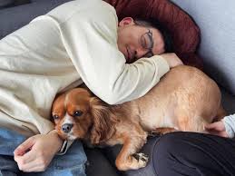 Oh, can't image how happy I would be if I have a puppy.