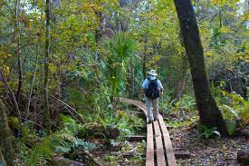Florida Trail Chuluota Wilderness To Joshua Creek Hiking In Florida Florida Trail Florida