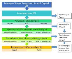 Sampah organik berjenis basah merupakan sampah yang berasal dari makhluk hidup yang notabene memiliki kadar air yang cukup tinggi. Optimalisasi Biokonversi Sampah Organik Pasar Dengan Bsf Wrc Ft Ugm Ac Id