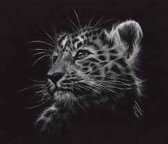 Midnight Dreams Drawing On Black Paper By 0bsidio Monster Beast Creature Animal Create Your Own Roleplaying Ga Black Paper Drawing Black Paper White Pencil