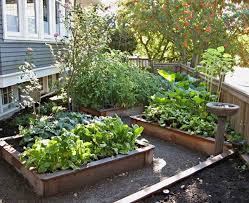 Pin On Gardening General Information