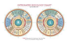 toni miller iridology chart