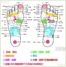穴道圖解 耳朵 手掌 腳底按摩穴道 不吃不胖非吃不可 痞客邦 acupressure points acupuncture points health