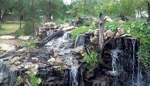 How to take care of hardy water lilies. A How To Guide Building A Perfect Stream Pond Trade Magazine