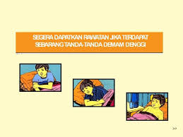 • jangkitan oleh salah satu jenis virus akan memberikan imuniti. Cegah Denggi Kita Mampu Melakukannya Masyarakat Perlu Tahu