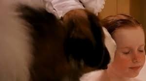 Nana Licks Little Boy Peter Pan 2007 Youtube