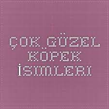 cok guzel kopek isimleri kopek