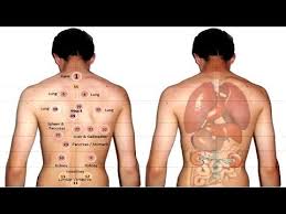 download mp3 hijama points diagram 2018 free