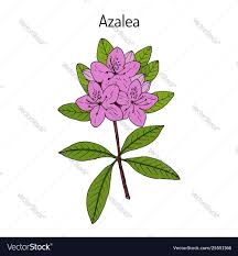 Pin On Wordpress Theme Vintage