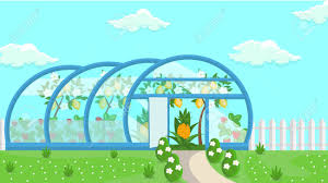 Buy your plants where they're grown in highgate center. Greenhouse Tropical Fruit Cultivation Illustration Flowers Nursery Royalty Free Cliparts Vectors And Stock Illustration Image 121213094