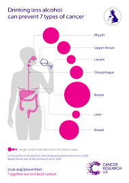 Bowel cancer is also known as colon, rectal or colorectal cancer. Bowel Cancer Risk Cancer Research Uk