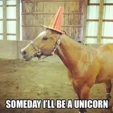 images?q=tbn:ANd9GcT98Ro4NsJOiic3yoAcw1RWVVh1lbmCsFgIh4ekSG6AmYkshIIcSNdIp8r-Coj9g1pc_2VUETisVqcK5w&usqp=CAU