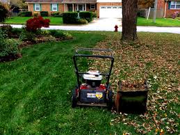 Included in this category are companies engaged in landscape design and architecture; Fall Lawn Care Tips For Bridgeport Conn Homeowners Lawnstarter
