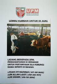 Harga lembu aqiqah adalah blog umm baraqah resources untuk harga kambing, harga lembu, bekalan kambing bagi kawasan klang, shah alam, selangor, kuala lumpur dan putrajaya untuk aqiqah qurban dan katering kenduri kendara hidup mahupun sembelihan. Tolong Bagi Tau Surau Masjid Klu Nk Beli Lembu Rawatan Bekam Sunnah Az Zahra Subang Bestari