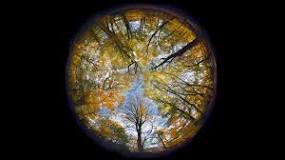 Best fisheye lenses for mirrorless cameras and DSLRs ...