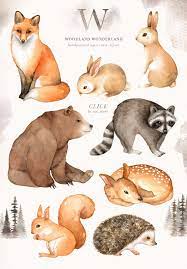 Woodland Wonderland Watercolor Clip Art Woodland Animals Kids Clipart Boho Clipart Nursery Decor Animals Clipart Fox Deer Rabbit Bear Animal Clipart Animal Drawings Watercolor Animals