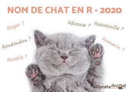 We did not find results for: Nom De Chat En R 2020 De 300 Idees Noms De Chat Prenom Chat Femelle Prenom Animaux