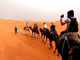 Guelmim, morocco souk has camels and goats on saturdays. Backpacking Morocco Guide Highlights Safety Travel Tips