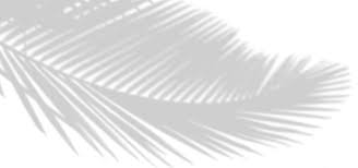 Tropical Palm Leaf Shadow Background Background Fram Leaf Background Image For Free Download ✓ free for commercial use ✓ high quality images. pngtree