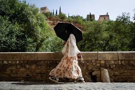 Chanel Shortcake - Fresh Content