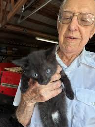 Sad update…. The cat had internal injuries too severe to save  unfortunately. It was believed he may have been hit by a car 😔 He was put  down by the vet 😢