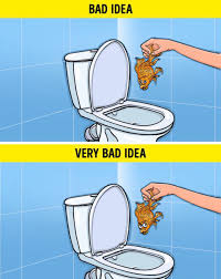 Sudahlah tersumbat, ia juga boleh membuatkan benda lain tersangkut dan mengakibatkan tandas anda tersumbat sekali dengan najis. ØªÙˆÙŠØªØ± Soulusi Ø¹Ù„Ù‰ ØªÙˆÙŠØªØ± 6 Contact Lens Contact Lens Diperbuat Drpd Polimer Yang Takkan Terurai Selama Bertahun Tahun Lens Yg Kecil Mungkin Takkan Mengakibatkan Lubang Tersumbat Tetapi Ia Boleh Bahayakan Alam Sekitar