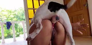 Creampie from dog