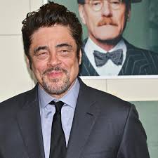 Benicio del Toro fala sobre lado 'esperançoso' de novo filme de Wes  Anderson: 'Muito bonito'