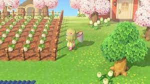 Cute Turnip Farm In 2020 Animal Crossing Qr Animal Crossing Animals