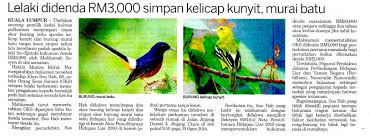 Murai batu malaysia mp3 ✖. Keratan Akhbar Bagi Bulan Ogos 2018