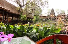 Perkataan pendang adalah istilah yang dipanggil oleh penduduk tempatan terdahulu yang bermaksud lubang atau telaga yang dibuat oleh penduduk pada masa itu untuk menangkap atau menjerat gajah.lubang atau telaga yang digunakan untuk menjerat gajah ini masih ada lagi di sebelah balai polis pendang yang kini menjadi telaga. Menyaksikan Tarian Tradisional Bali Di Cafe Lotus Ubud Berbalutkan Keindahan Taman Teratai Kintamani Id