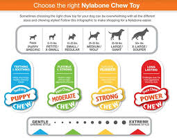 Nylabone puppy teething keys chew dog toy interactive toys petstages orka trade grow with me ring puppy dental chew toy petstages kitty cuddle pal cat toy plush toys petsmart petstages catnip chew mice cat toy hunting stalking toys this manufacturer offers a wide selection of canine toys, including. Nylabone Puppy Teething Keys Chew Dog Toy Dog Interactive Toys Petsmart