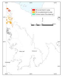 Image result for Scleria lateritica