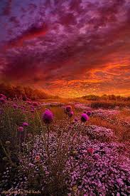 This is a painting tutorial i did today. When The Sunset The Sun Shines On Sunset Flower Fields Facebook
