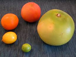 Image result for Citrus maxima