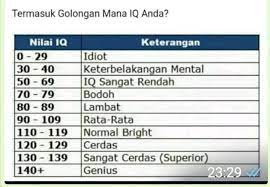 Check spelling or type a new query. The Indies Indigo Is An Indigenous Independent Silahkan Mencoba Http Memorado Eu Iqtest Facebook
