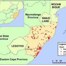 And that traditional consultancies have done very little to. Map Of Kwazulu Natal Province South Africa Kzn Showing The Location Download Scientific Diagram
