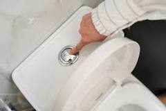 Why Do Some Toilets Have Two Flush Buttons? | IFLScience