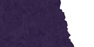 Pig sticking, India, 1889 | Online ...