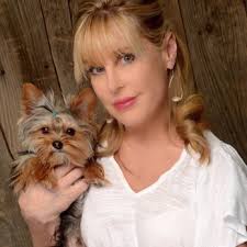 DAVID LAPORTE STUDIO