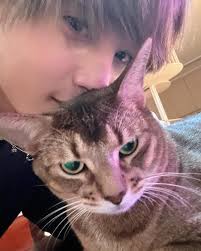 Louis Leon Bella Levi Coco (@louis.leon.bella.levi.coco) • Instagram photos  and videos