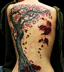 Image De Etoile Tattoo Dos Femme Modele