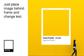 Pantone Colour Mockup Bundle In 2020 Pantone Pantone Color Pantone Swatches