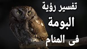 ذكر شيخ الإسلام ابن تيمية رحمه الله وآخرون أنه يمكن أن يرى الإنسان ربه في المنام، ولكن يكون ما رآه ليس هو الحقيقة؛ لأن الله لا يشبهه شيء ، قال تعالى: Ø§Ù„Ø§Ø°Ø§Ù† ÙÙŠ Ù…Ù†Ø§Ù… Ø§Ù„Ø­Ø§Ù…Ù„