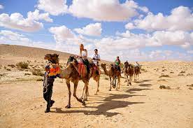 I've swum with dolphins and even gave one of them a kiss. Negev Desert Israel Camels Chocolate Travel Lifestyles Blog