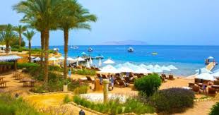 ويقول أحد ملاك الفنادق هناك إن عدد المقيمين في فندقه وفقا لشركات سياحة مصرية فإن كل مثل هذه الحلول المؤقتة، ينتظر منها أن تحافظ على. 48 Ø³Ø§Ø¹Ø© ØªÙƒØ´Ù Ø¬Ø§Ù‡Ø²ÙŠØ© Ø´Ø±Ù… Ø§Ù„Ø´ÙŠØ® Ù„Ø§Ø³ØªÙ‚Ø¨Ø§Ù„ Ø§Ù„Ø¥Ù†Ø¬Ù„ÙŠØ² ÙØ¨Ø±Ø§ÙŠØ± Ø§Ù„Ù…Ù‚Ø¨Ù„ ÙˆÙØ¯ Ø´Ø±ÙƒØ§Øª Ø§Ù„Ø³ÙŠØ§Ø­Ø© Ø§Ù„Ø¨Ø±ÙŠØ·Ø§Ù†ÙŠØ© Ø§Ø·Ù„Ø¹ Ø¹Ù„Ù‰ ØªØ¬Ù‡ÙŠØ²Ø§Øª Ø§Ù„Ø£Ù…Ù† ÙˆØ§Ù„ÙÙ†Ø§Ø¯Ù‚ Ù…Ø³ØªØ«Ù…Ø±Ù‰ Ø¬Ù†ÙˆØ¨ Ø³ÙŠÙ†Ø§Ø¡ Ø§Ù„ØªØ­Ø¶ÙŠØ±Ø§Øª Ø§Ù„Ø¬Ø§Ø±ÙŠØ© Ø£Ø¨Ù‡Ø±Øª Ø§Ù„Ø¨Ø±ÙŠØ·Ø§Ù†ÙŠÙŠÙ† ÙˆÙˆØ¹Ø¯ÙˆØ§ Ø¨Ù†Ù‚Ù„Ù‡Ø§ Ù„Ù„Ù…Ø³Ø¦ÙˆÙ„ÙŠÙ† Ø¨Ù„Ù†Ø¯Ù† Ø§Ù„ÙŠÙˆÙ… Ø§Ù„Ø³Ø§Ø¨Ø¹